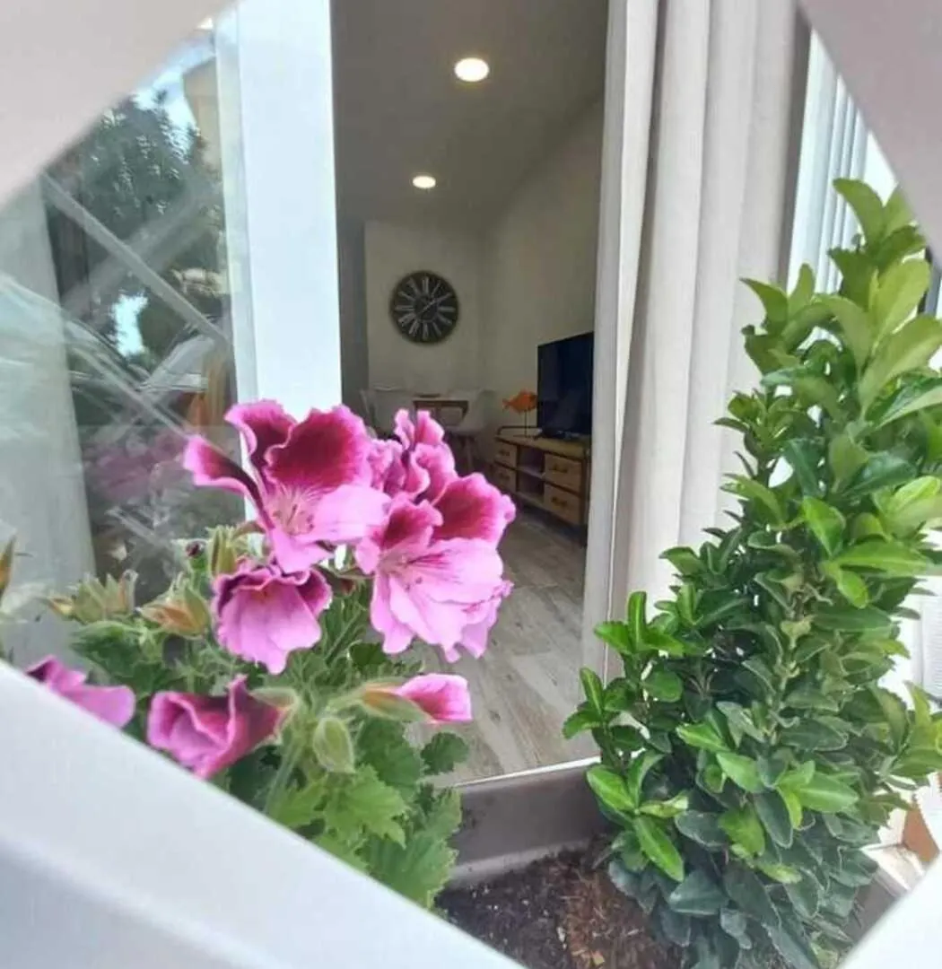 Nuevo Apartamento Junto Al Mar Fuengirola Spain